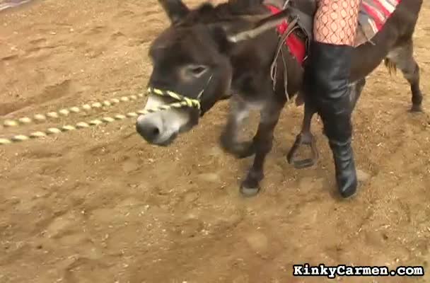 608px x 400px - Brunette in fishnet stockings is riding on big donkey outdoors - Hell Porno
